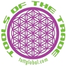 Photo of logo for TOTT Global